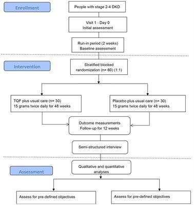 Oral Chinese Herbal Medicine plus usual care for diabetic kidney disease: study protocol for a randomized, double-blind, placebo-controlled pilot trial